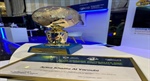 Recognition of Excellence: Undergraduate Category