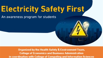 Electricity Safety First