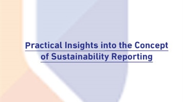 Practical Insights into the Concept of Sustainability Reporting