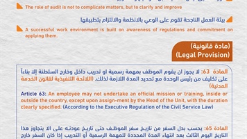 التدقيق الداخلي